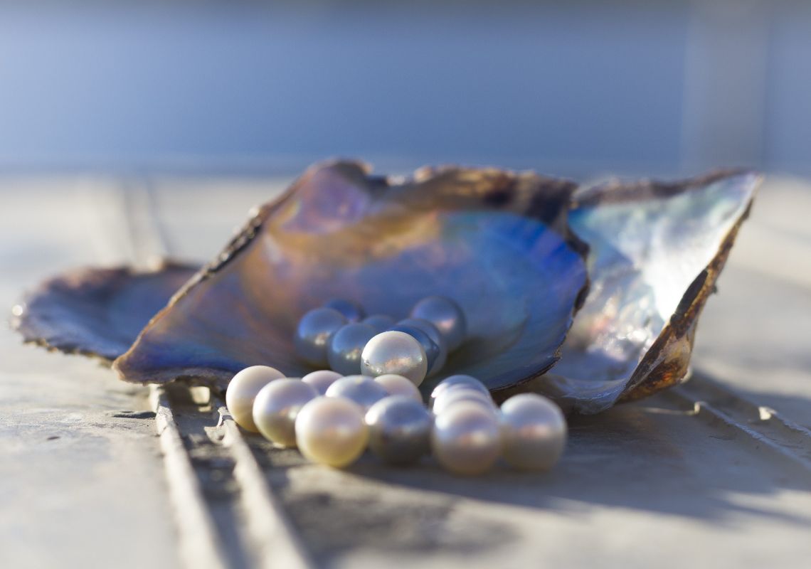 Australian Pearl Farm Tour - Killcare - Central Coast